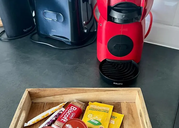 Apartamento Rio - Confortable Avec Jardin D'été I Proche Gare Et Centre Châtellerault